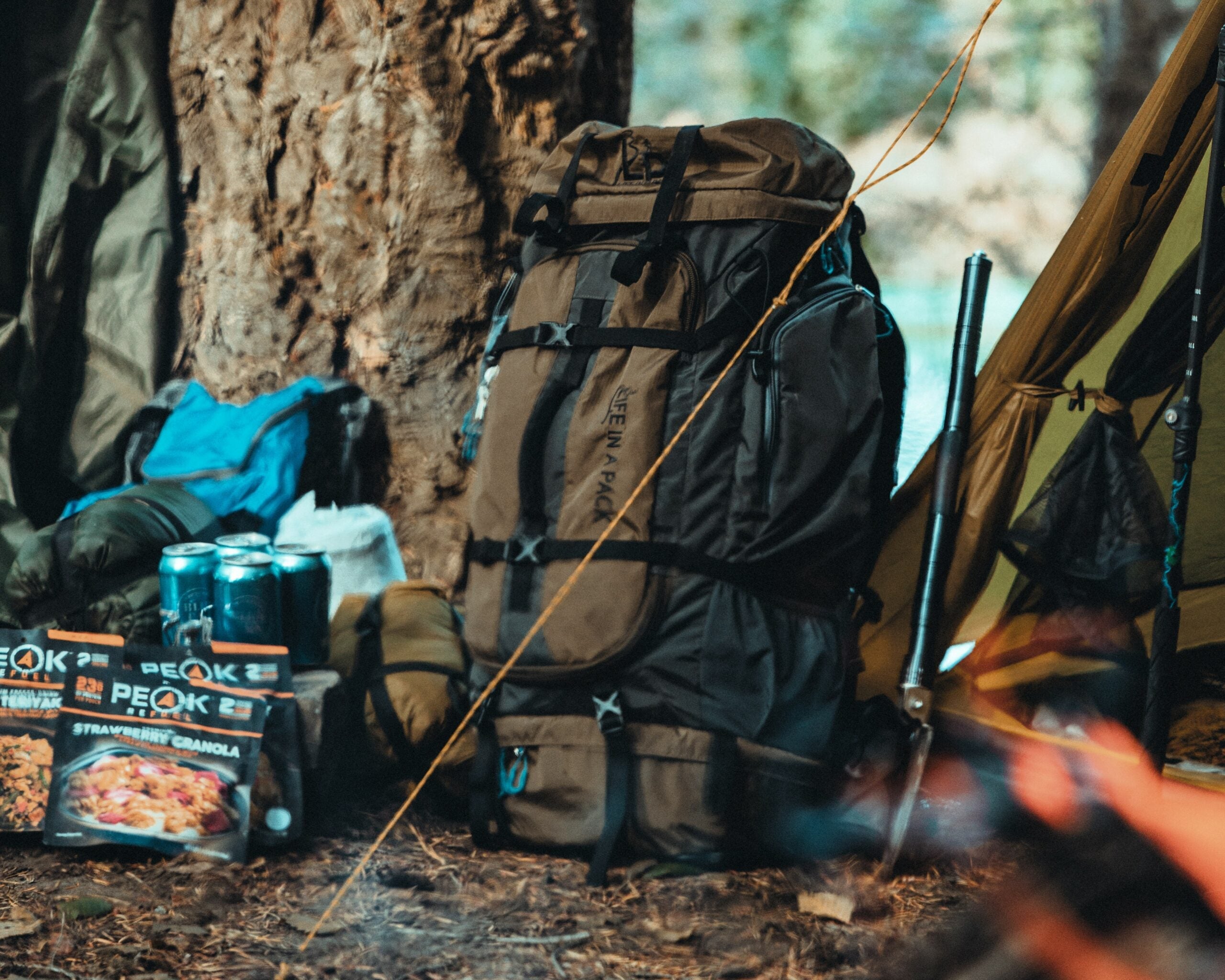 LifePack, Backpacking Kit, Survival Kit