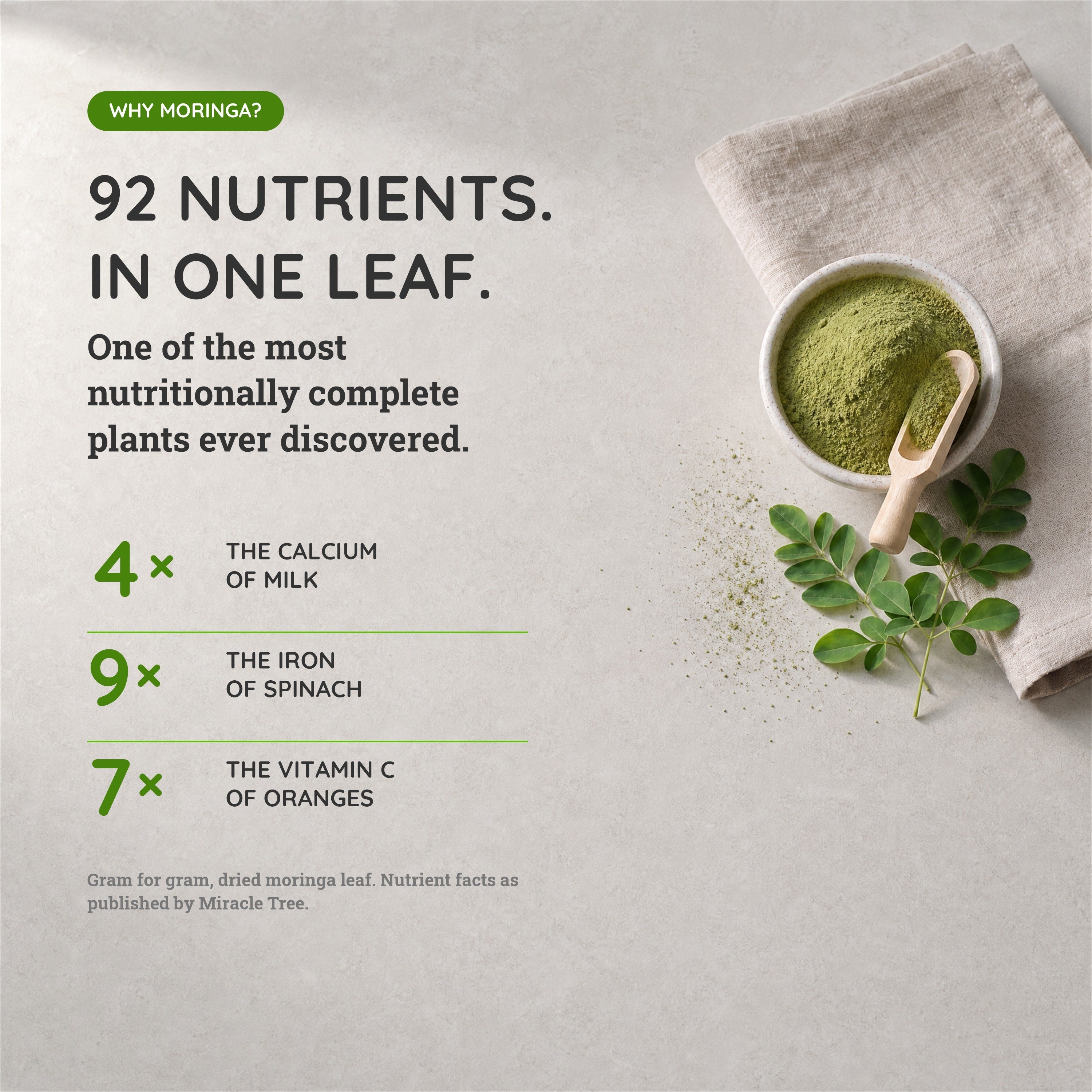 Organic Moringa Powder - 16oz Pouch