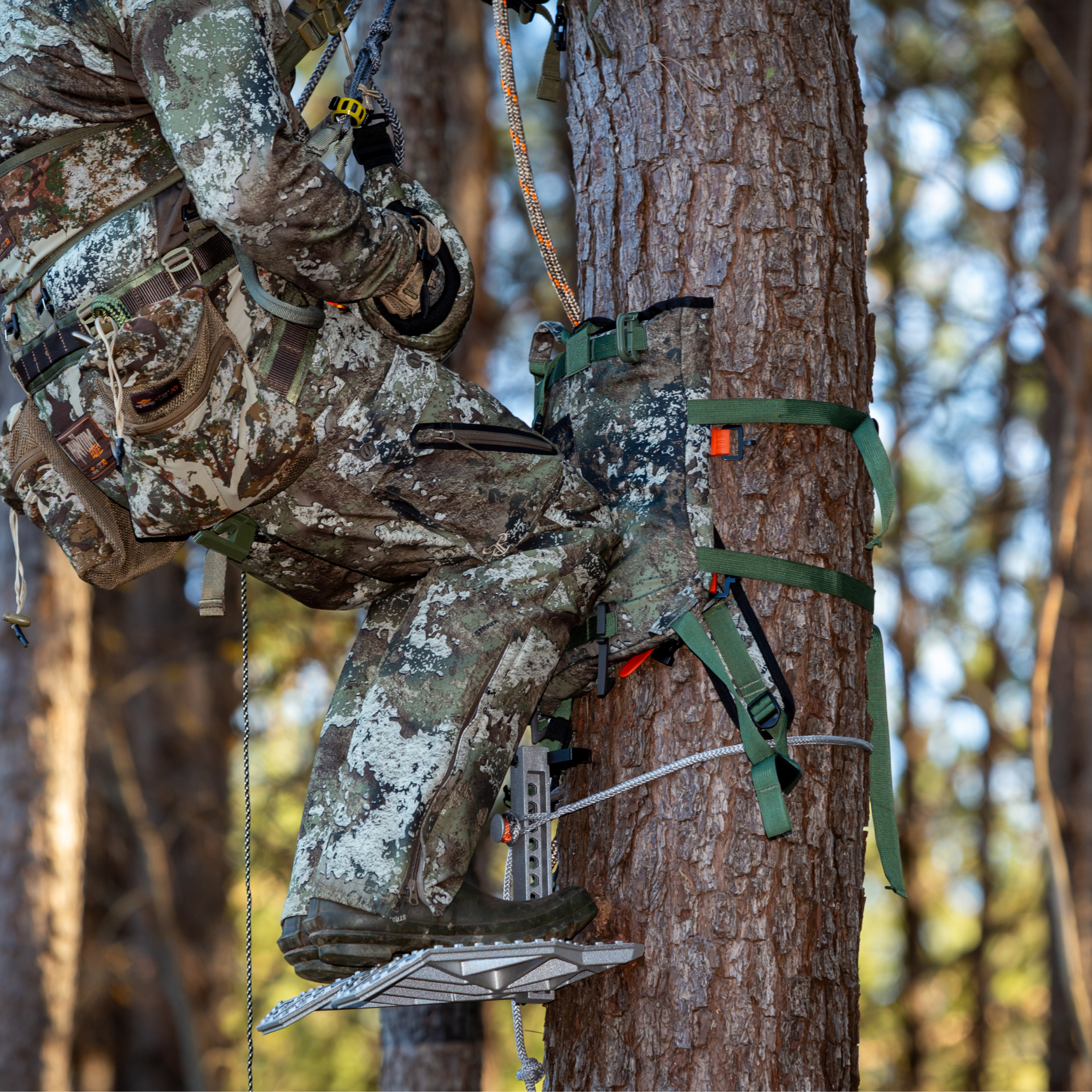 BOTTOMLAND: Pack Rat Tree Hugger FULL SEND SYSTEM