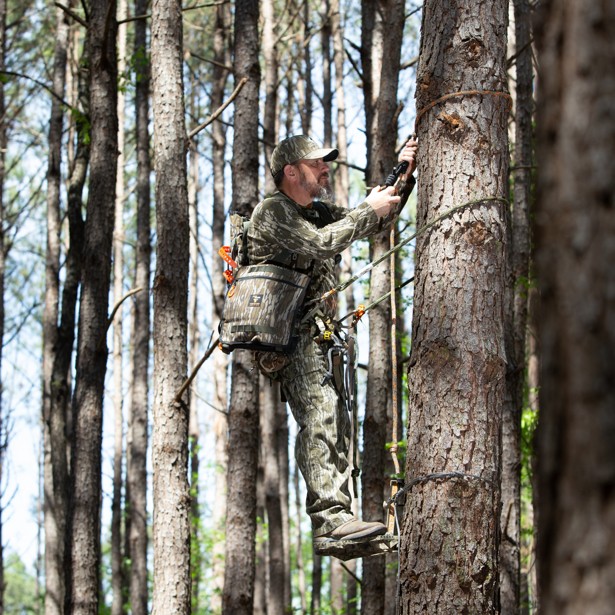 STRATA: Tree Hugger (Regular or Mini Size)