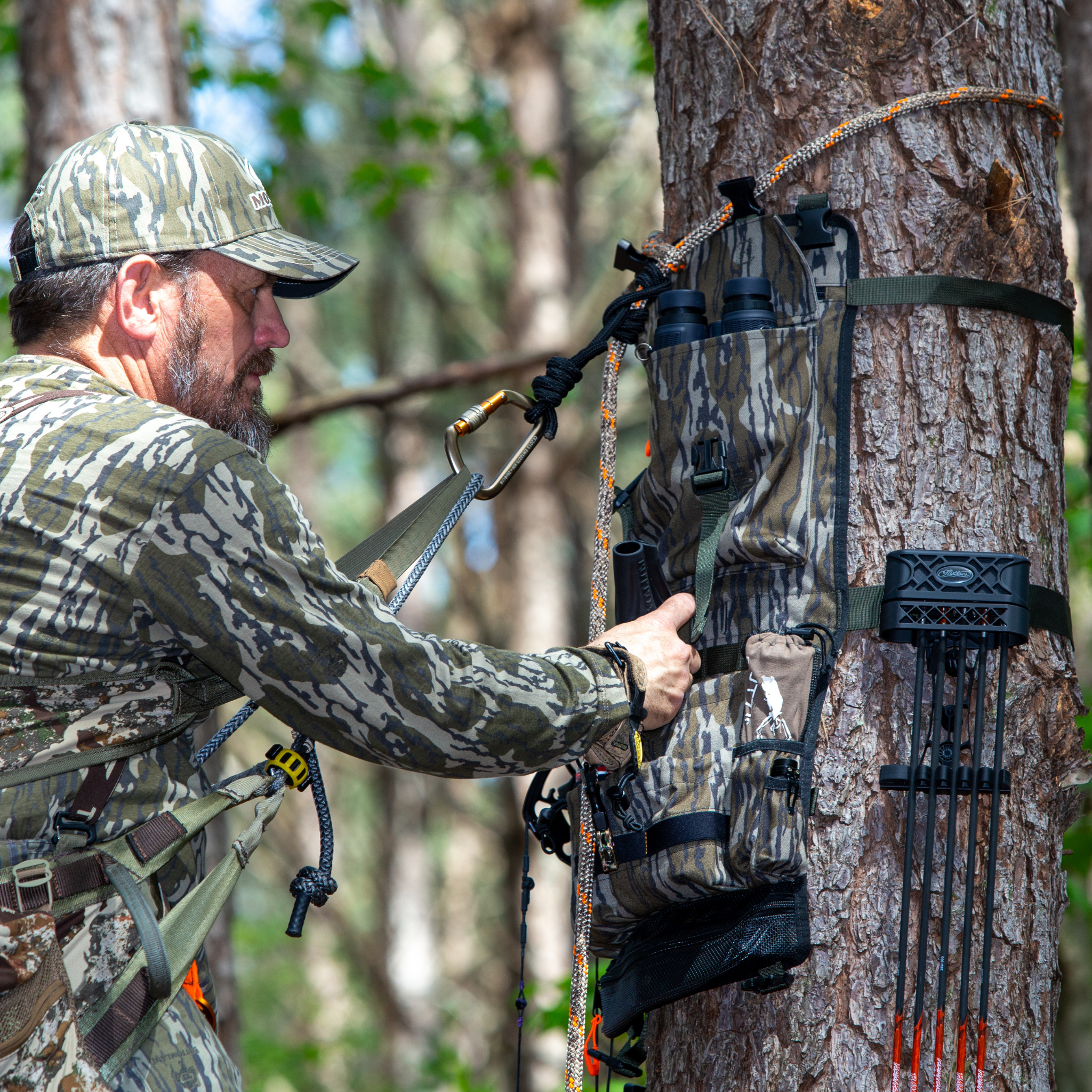 BOTTOMLAND: Tree Hugger (Regular or Mini Size)